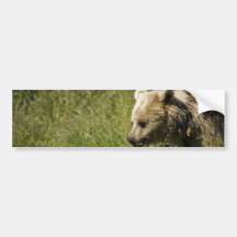 Grizzlies  Bumper Sticker