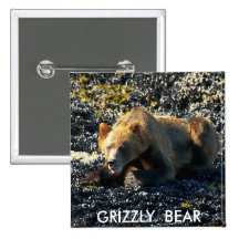 GRIZZLY BEAR ART PIN