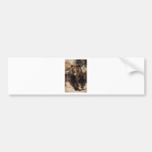 Grizzly Bear Boar Bumper Sticker