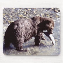 Grizzly Bear Eating a Salmon Mouse Pads