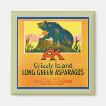 Grizzly Bear Fridge Magnet