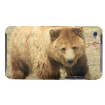 Grizzly Bear iTouch Case Barely There iPod Case