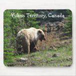 Grizzly Bear Smile; Yukon Territory, Canada Mouse Pads