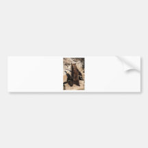Grizzly Bear Sow Bumper Sticker