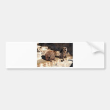 Grizzly Bears Bumper Stickers