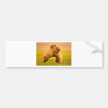Grizzly Bears Wrestling Bumper Sticker