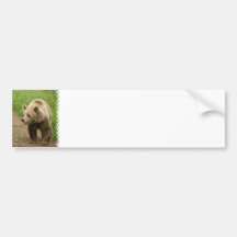 Grizzly  Bumper Sticker