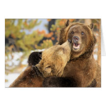Grizzly Kiss Card
