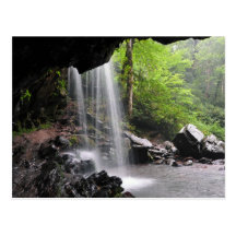 Grotto Falls Great Smoky Mountain Park Postcard