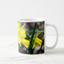 Group of Little Yellow Daffodils Coffee Mugs