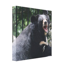 Growling Bear Canvas Print