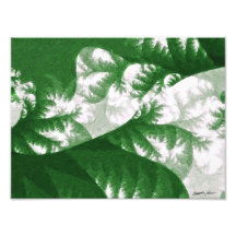 Growth 1 photograph