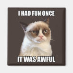 Grumpy Cat - I had fun once Magnets