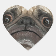 Grumpy Puggy Gifts Heart Stickers