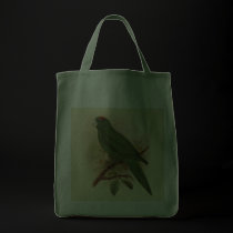Guadeloupe Parakeet Extinct 1908 bags