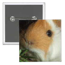 Guinea Pig Button