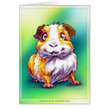 Guinea-pig Card