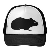Guinea Pig Hat