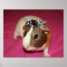 Guinea Pig With Bow 2 Print