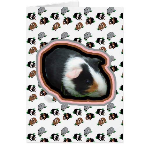 Guinea Pigs Cards