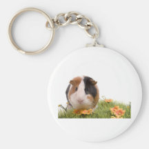 guinea pigs on a lawn porte-clefs