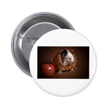 guinea pigs pin's