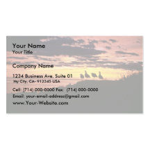 Gulls At Sunset Business Card