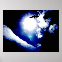 Gull's Dream Poster
