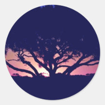 Gum tree, Outback, Australia Stickers