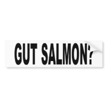 Funny Stickers Shirts on Gut Salmon  Funny Fishing T Shirts And Stickers  Bumper Stickers
