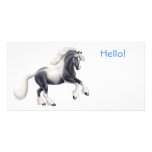 Gypsy Cob Horse Photo Card