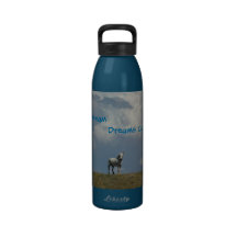 H2o Bottle -Dreams come True Water Bottle