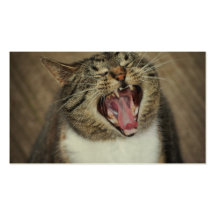 Ha Ha Ha Laughing Cat Business Card