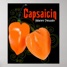 Habanero Pepper $24.95 Vector Art Poster