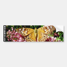 HACKBERRY BUTTERFLY bumper sticker