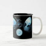 Haeckel Jellyfish Coffee Mugs