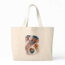 Haeckel Jellyfish bags