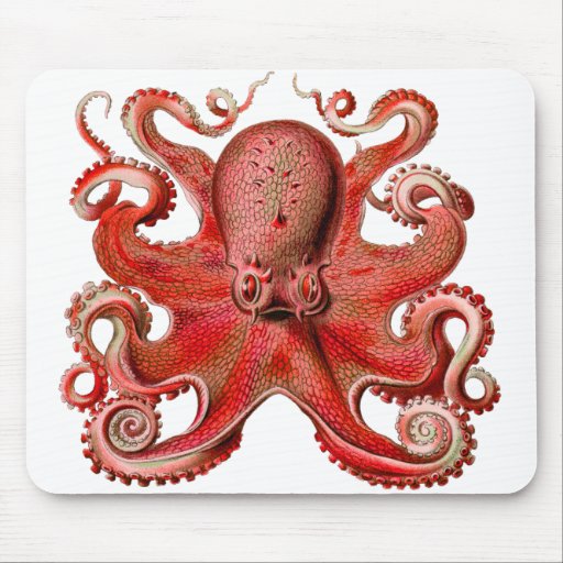 Haeckel Octopus Red Mouse Pads