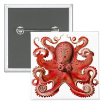 Haeckel Octopus Red Pinback Buttons