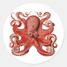 Haeckel Octopus Red Stickers