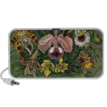 Haeckel Orchids Vintage Illustration iPhone Speaker