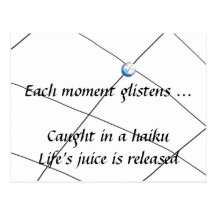 Haiku - juice of life postcard