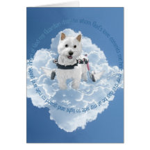Hailey Westie - Blank Greeting Cards