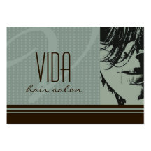 Hair Salon Appointment Cards Business Card Template