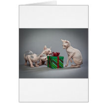 HAIRLESS CAT'S CHRISTMAS CARDS