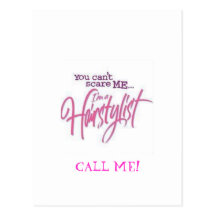 HairStylist Frenzy Post Card