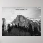 Half Dome poster