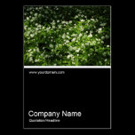 Half&Half Photo 0363 - Wild Garlic business cards