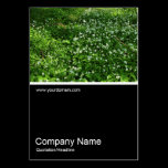 Half&Half Photo 0365 - Woodland Flowers business cards