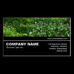Halfway V3 037 - Woodland Flowers business cards